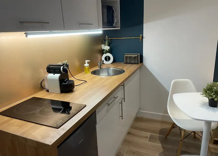 Apartment A Montchat *